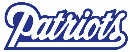New England Patriots 1993-1999 Wordmark Logo DIY iron on transfer (heat transfer)